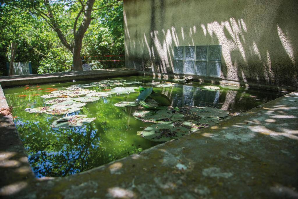 Authentique Mas Provencal Gemenos Villa Ngoại thất bức ảnh